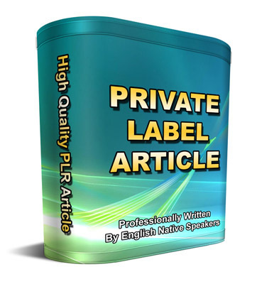 Product picture 25 College Scholarship PLR Articles (RAR)